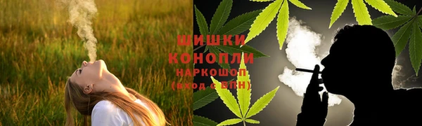 ГАЛЛЮЦИНОГЕННЫЕ ГРИБЫ Кулебаки