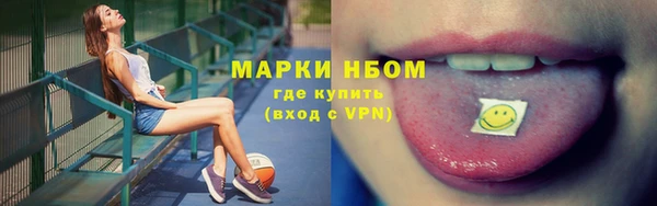 индика Кукмор