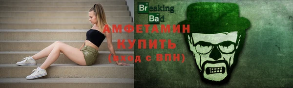 индика Кукмор