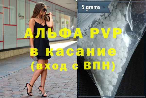 индика Кукмор
