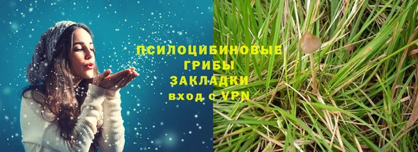 индика Кукмор