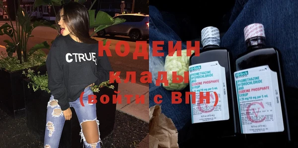 ГАЛЛЮЦИНОГЕННЫЕ ГРИБЫ Кулебаки