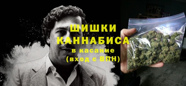 индика Кукмор